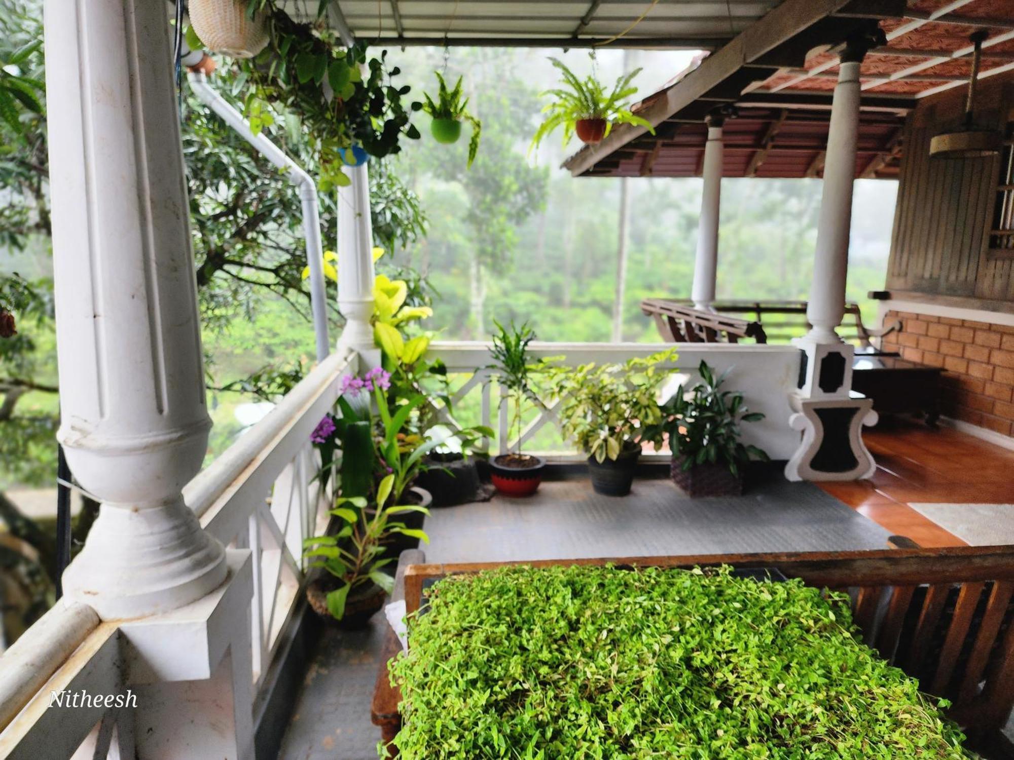 Homestay Kairali Palace *